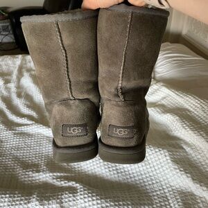Classic Short Ugg Boots